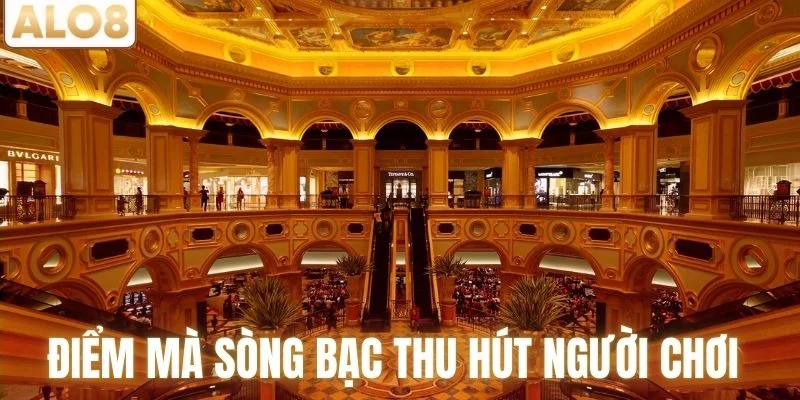 Sòng Bạc Venetian Macau – Biểu Tượng Giải Trí Đẳng Cấp 3 Điểm mà sòng bạc thu hút người chơi